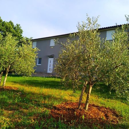 Apartments Valeria Divšići Extérieur photo