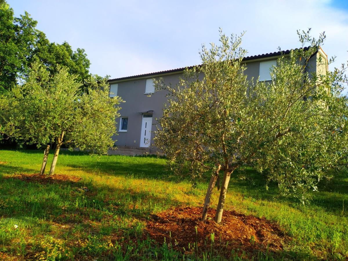 Apartments Valeria Divšići Extérieur photo